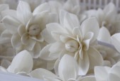 quality of sola flowers